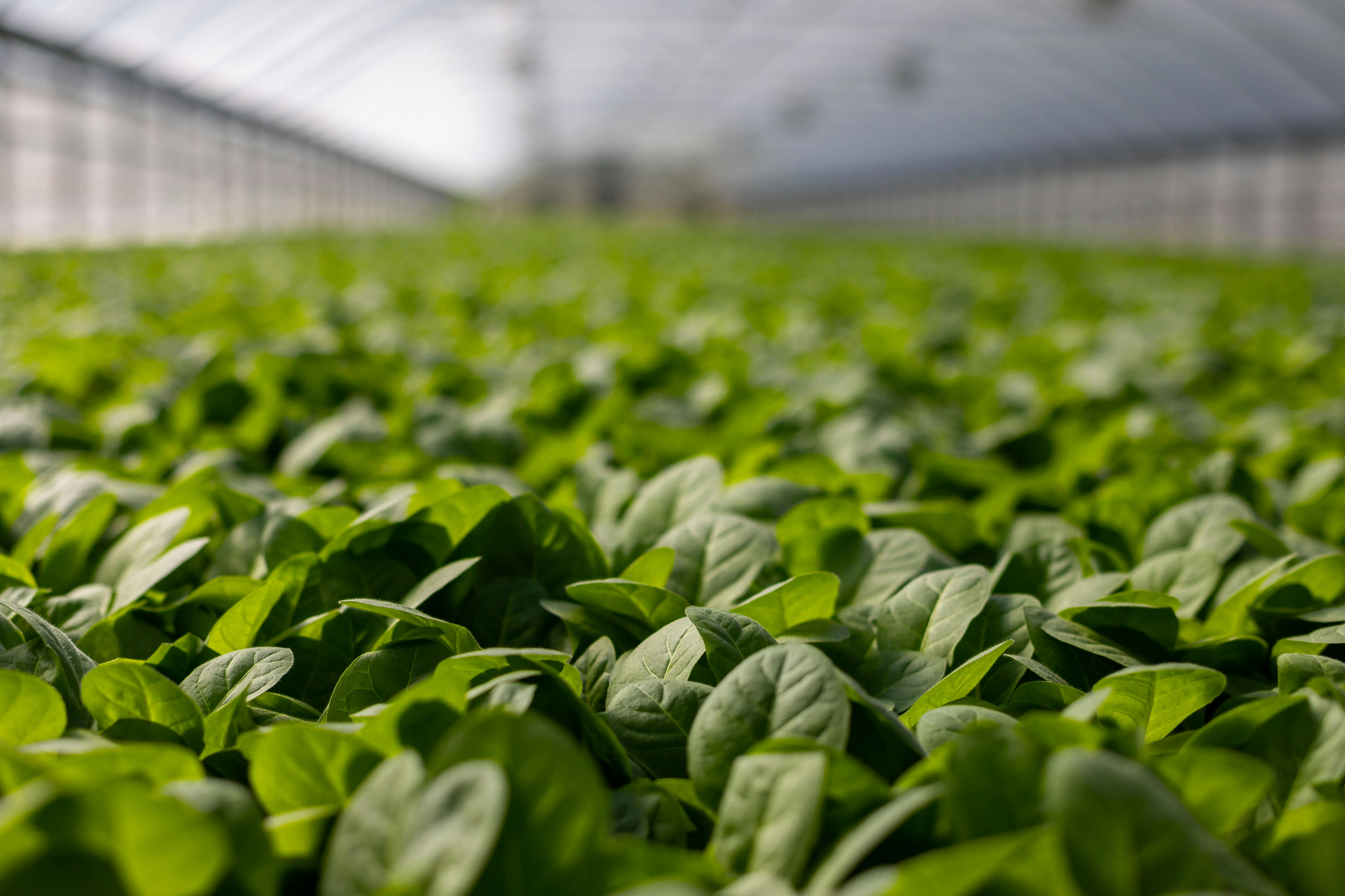  Introduction à l’entrepreneuriat agricole